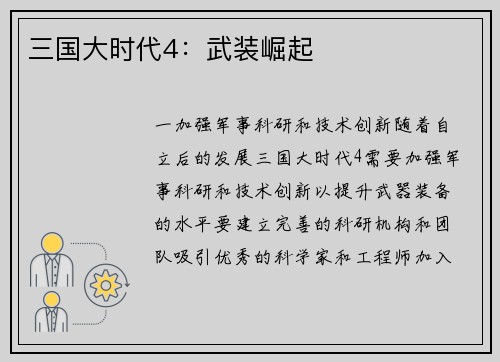 三国大时代4：武装崛起